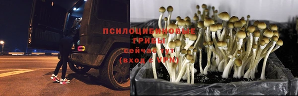 кокаин перу Бородино
