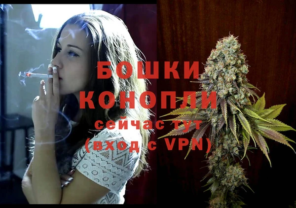 амф Бронницы