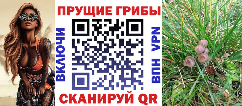 Псилоцибиновые грибы прущие грибы  Шадринск 